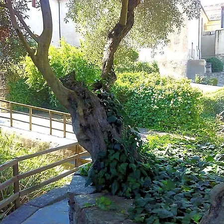 酒店 Conventual De Alcántara
